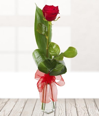 Single Red Rose vase