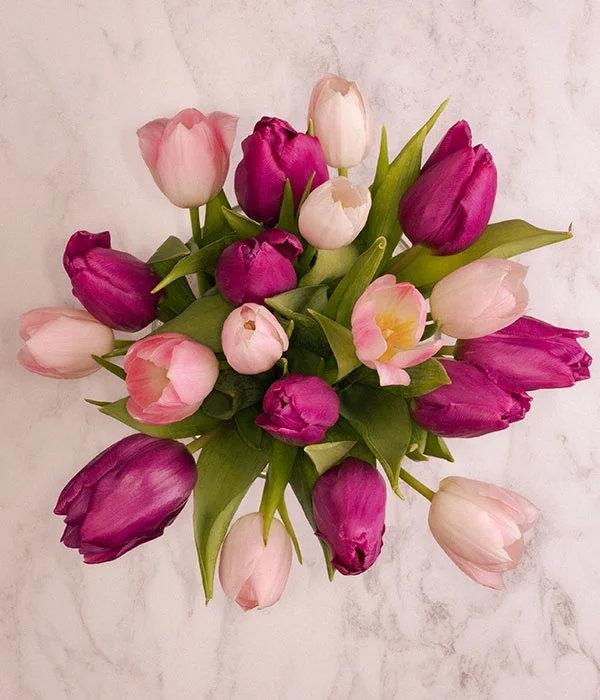 Simply Tulips