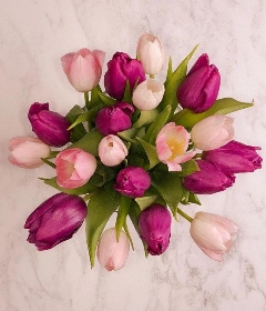 Simply Tulips