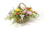 Basket Mixed Freesias