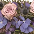 Wreath Leaf Edging Lilac and Blue