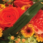 Warm Wreath