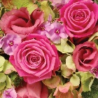Wreath Pink and Green Exquisite